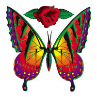 Butterfly Temporary Tattoo