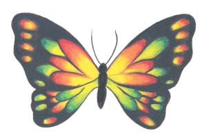Butterfly Temporary Tattoo