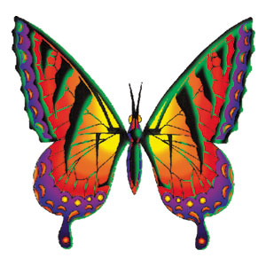 Butterfly Temporary Tattoo