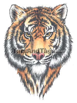 Tiger Face Temporary Tattoo