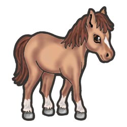Horse  temporary tattoo