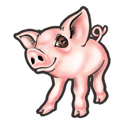 Pig  temporary tattoo