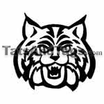 Wild Cat