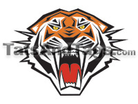 Tiger Head  temporary tattoo