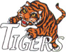 Tigers temporary tattoo