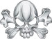 skull