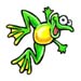 frog temporary tattoos